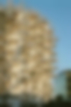 montpellier-arbre-blanc-2500-GHM-banque-image